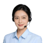Technical consultant